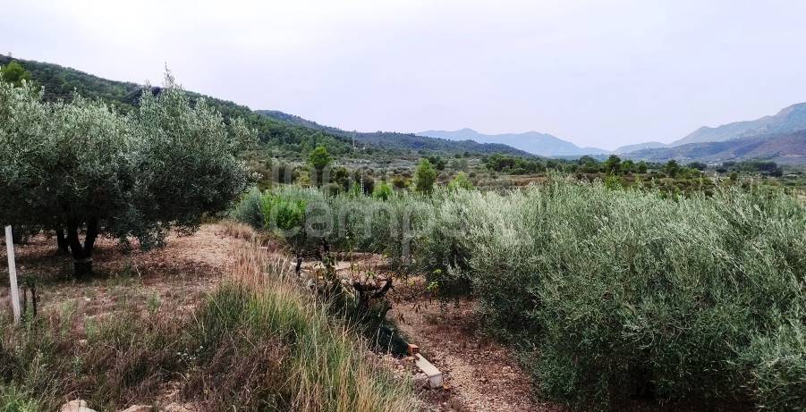 Venta - Casa de Campo - Vall de Gallinera - Alpatró
