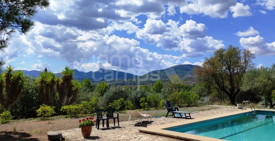 For sale - Finca - Millena