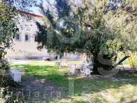 For sale - Finca - Alfafara