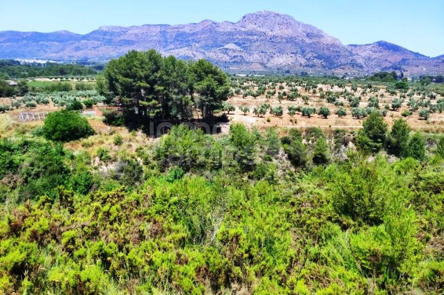 Venta - Parcela Rústica - Planes