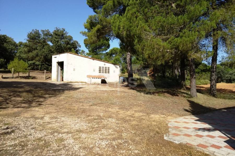 Venta - Casa de Campo - Bocairent