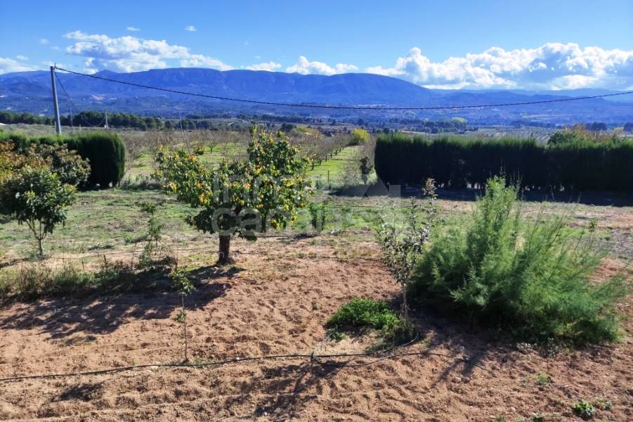 Te koop - Villa - Alcocer de Planes