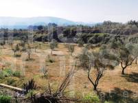 Venta - Finca - Muro de Alcoy