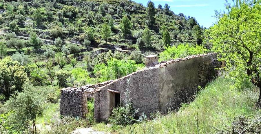 For sale - Finca - Benasau