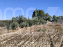Venta - Finca - Bocairent