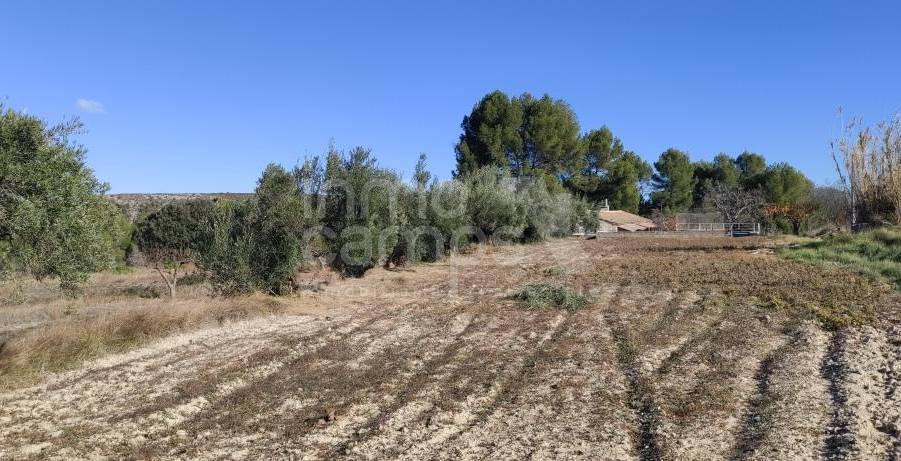 Venta - Finca - Bocairent