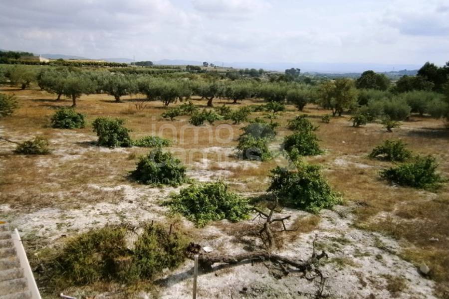 Venta - Casa de Campo - Albaida