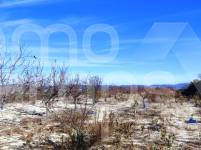 For sale - Rustic Land - Bufali