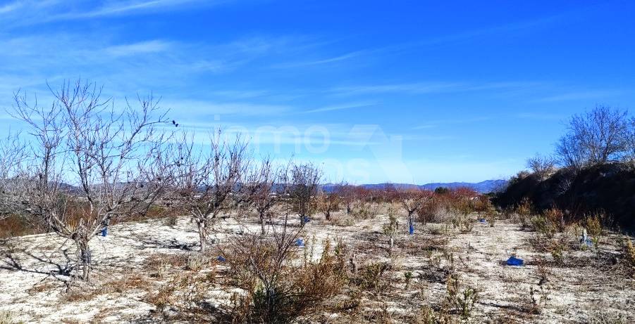 For sale - Rustic Land - Bufali