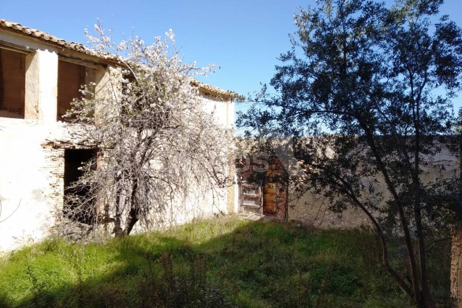 For sale - Finca - Ontinyent