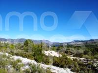 Venta - Parcela Rústica - Benimarfull