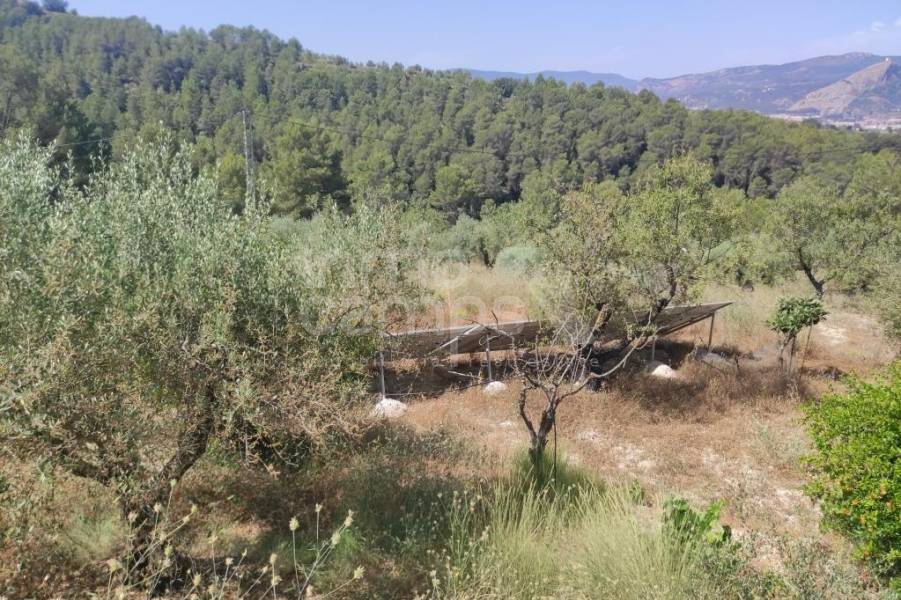 For sale - Country House - Benillup