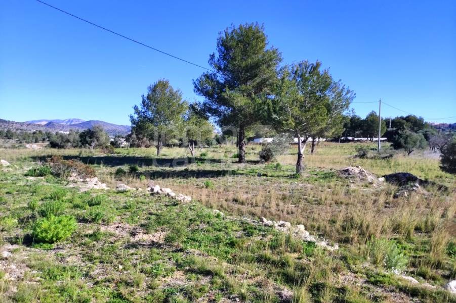 For sale - Rustic Land - Benissa
