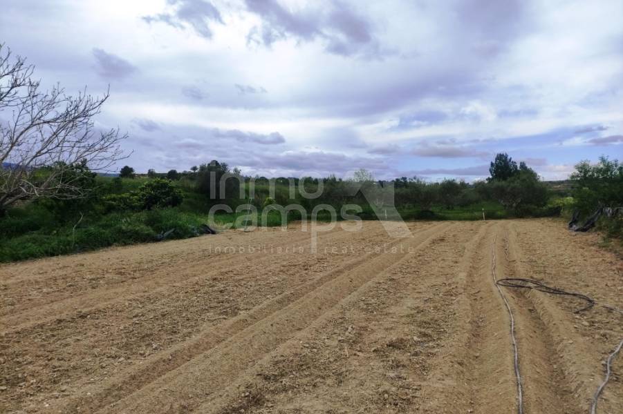 Te koop - Landhuis - Albaida