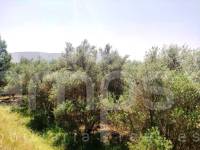 Venta - Parcela Rústica - Planes