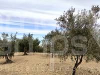 For sale - Rustic Land - Penáguila