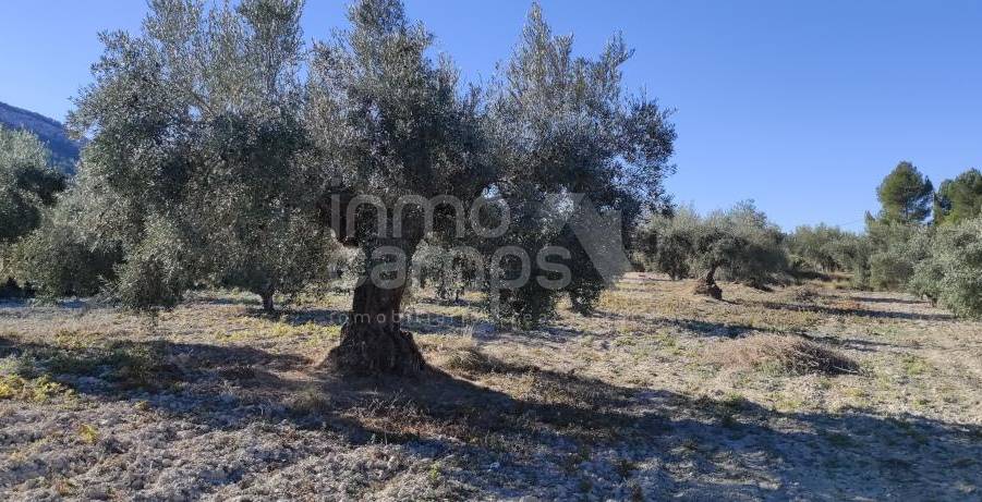 Venta - Finca - Bocairent