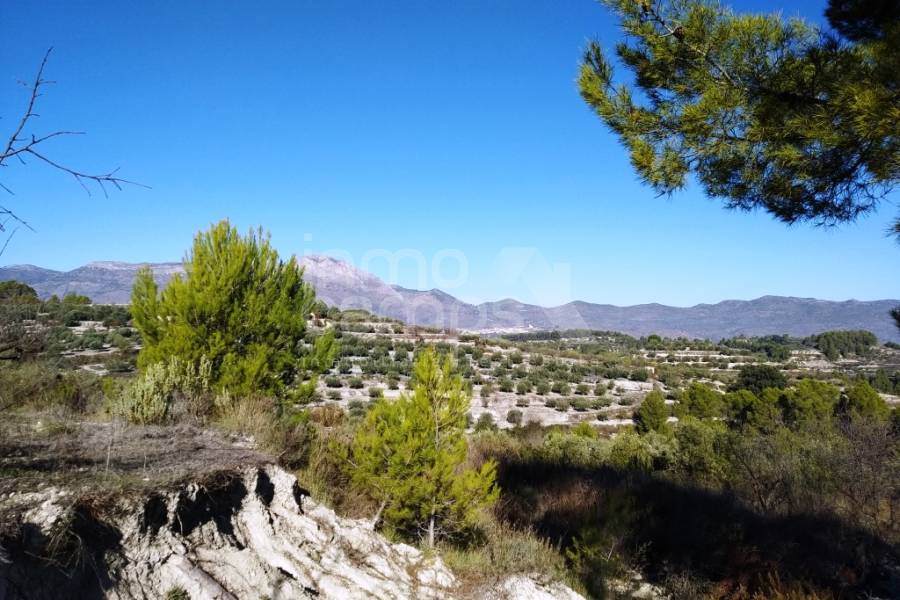 Te koop - Rustiek land - Benillup