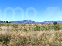 Te koop - Finca - Albaida