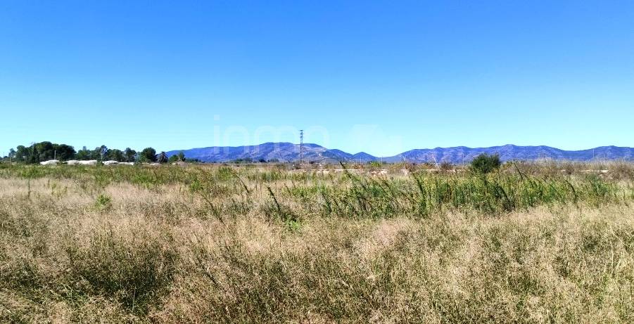 Te koop - Finca - Albaida