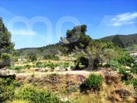 Venta - Casa de Campo - Penáguila