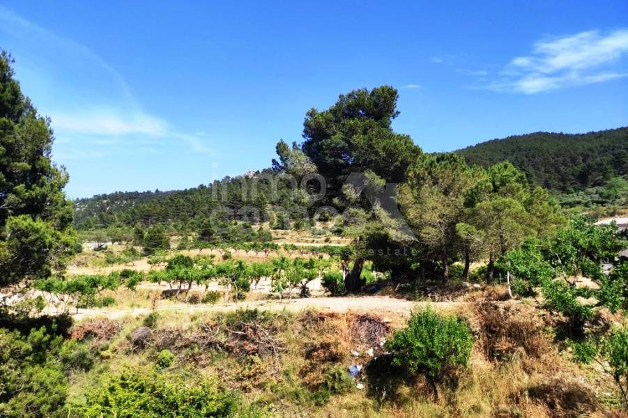 Venta - Casa de Campo - Penáguila