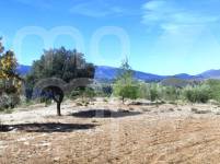 Venta - Casa de Campo - Gorga