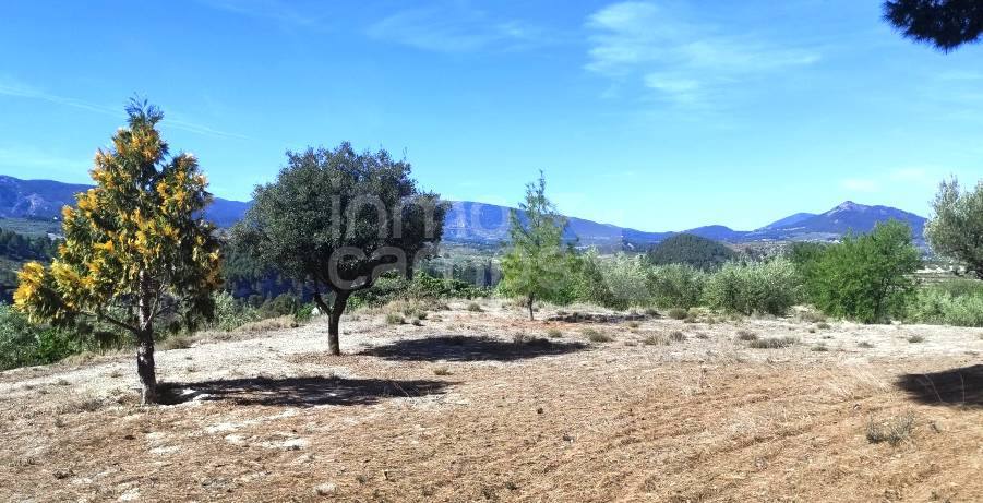 Venta - Casa de Campo - Gorga