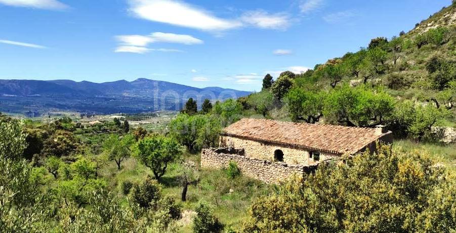 For sale - Finca - Benasau