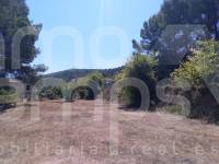 Te koop - Finca - Ontinyent