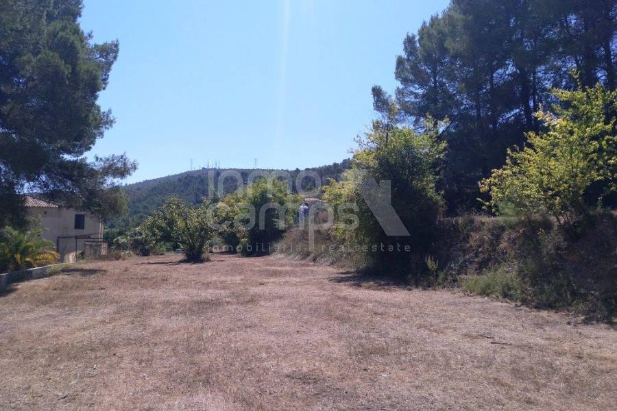 Venta - Finca - Ontinyent