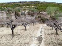 Venta - Finca - Penáguila