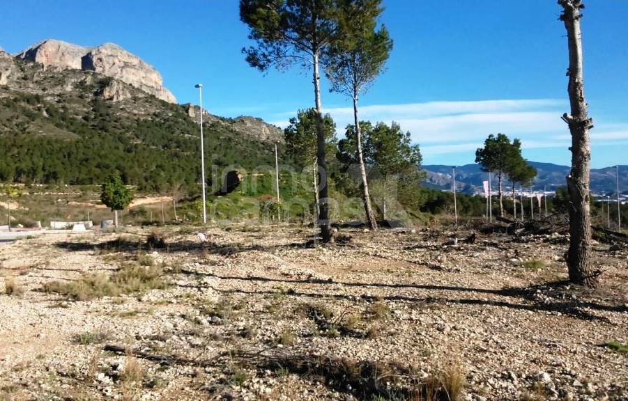 Obra Nueva - Chalet - Polop