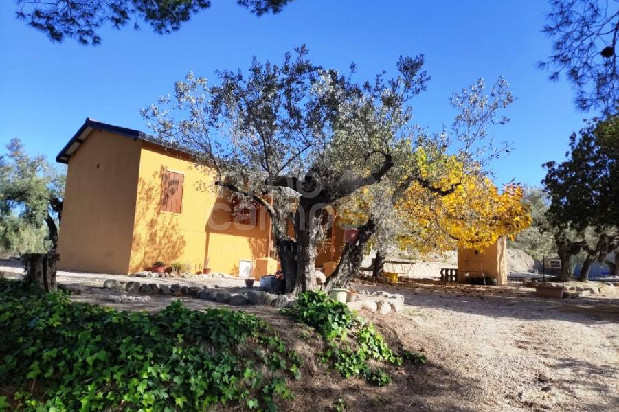 Te koop - Landhuis - Benilloba