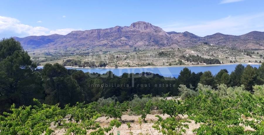 Venta - Parcela Rústica - Planes