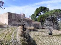 Venta - Finca - Torremanzanas