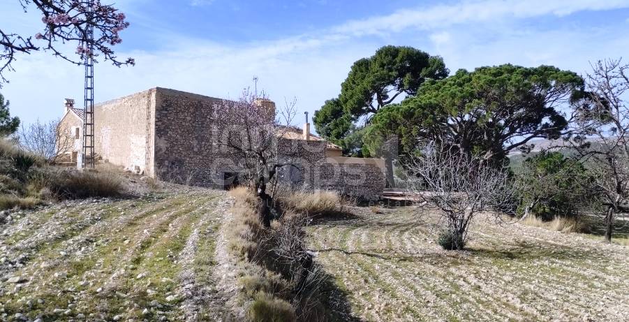 Venta - Finca - Torremanzanas