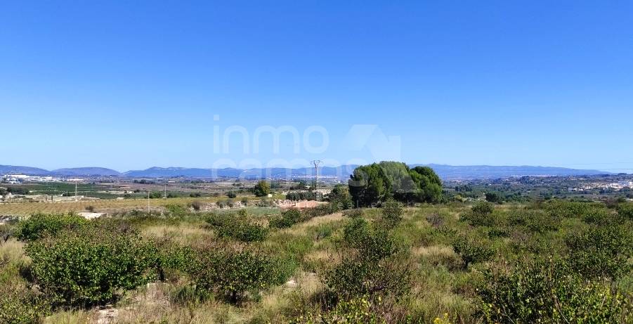 Te koop - Finca - Albaida