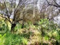 Venta - Parcela Rústica - Planes