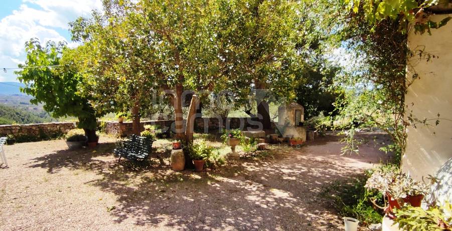 Venta - Finca - Millena