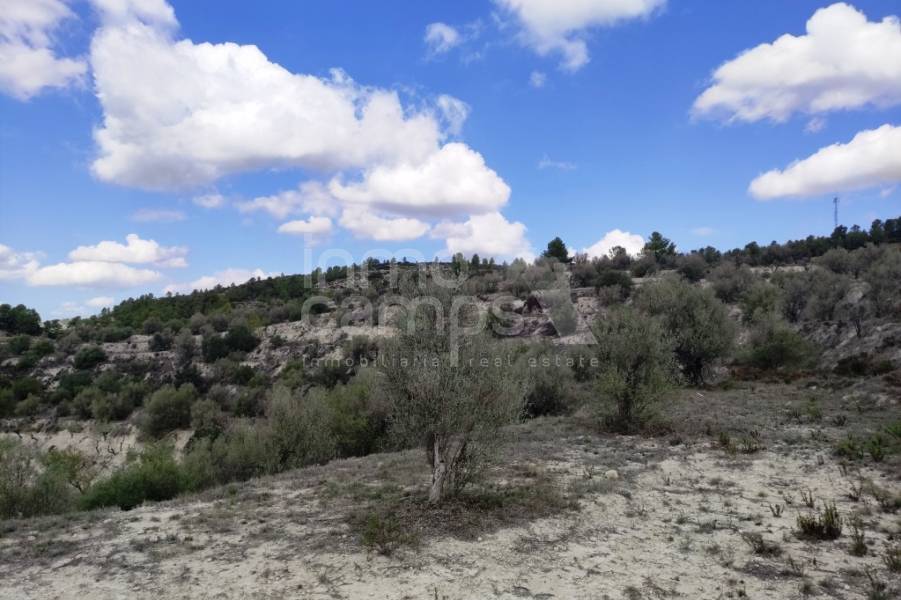 Venta - Casa de Campo - Planes