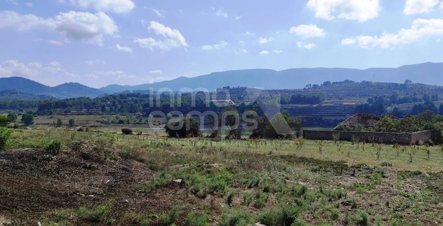 For sale - Finca - Alcocer de Planes