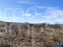 For sale - Rustic Land - Bufali