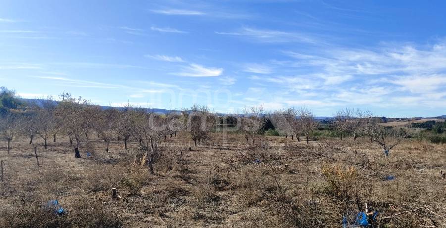 For sale - Rustic Land - Bufali