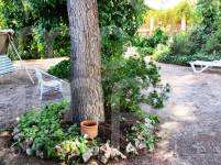 For sale - Finca - Alcoy