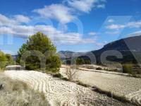 For sale - Rustic Land - Benillup