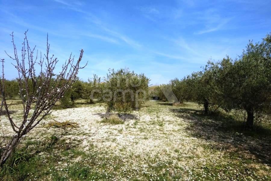 Te koop - Landhuis - Alcocer de Planes