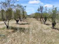 For sale - Rustic Land - Penáguila