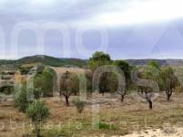 Venta - Casa de Campo - Ontinyent