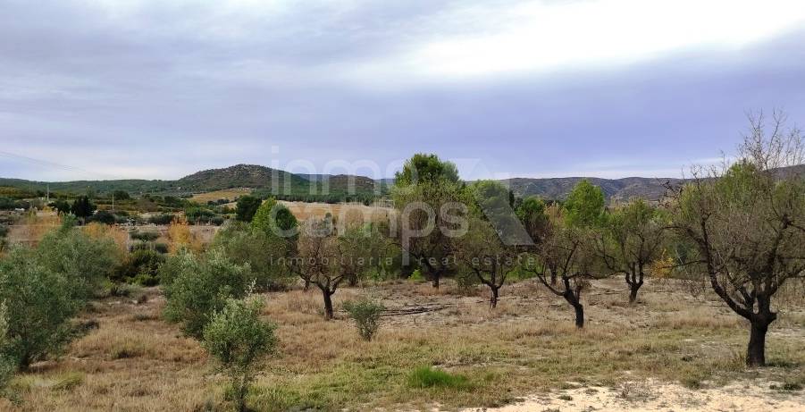 For sale - Country House - Ontinyent